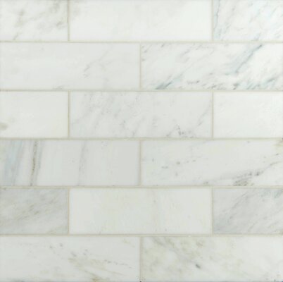 4" x 12" Polished Marble Tile in Carrara White & Reviews | AllModern